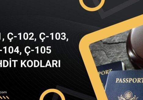 c-101