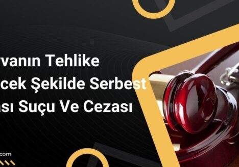 Hayvanın Tehlike Yaratabilecek Şekilde Serbest Bırakılması Suçu ve Cezası