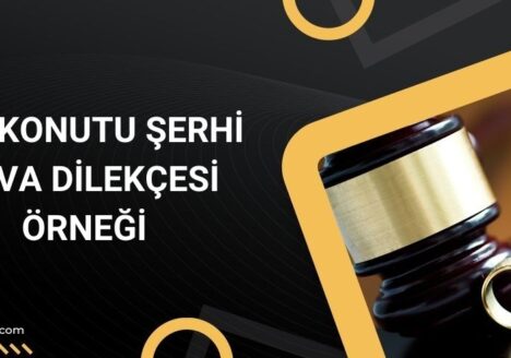 Aile konutu şerhi dava dilekçesi örneği