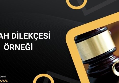 Islah dilekçesi örneği