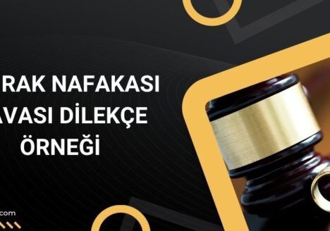İştirak nafakası davası dilekçe örneği
