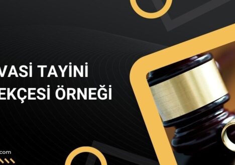 Vasi tayini dilekçesi örneği