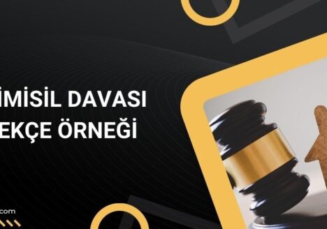 Ecrimisil davası dilekçe örneği